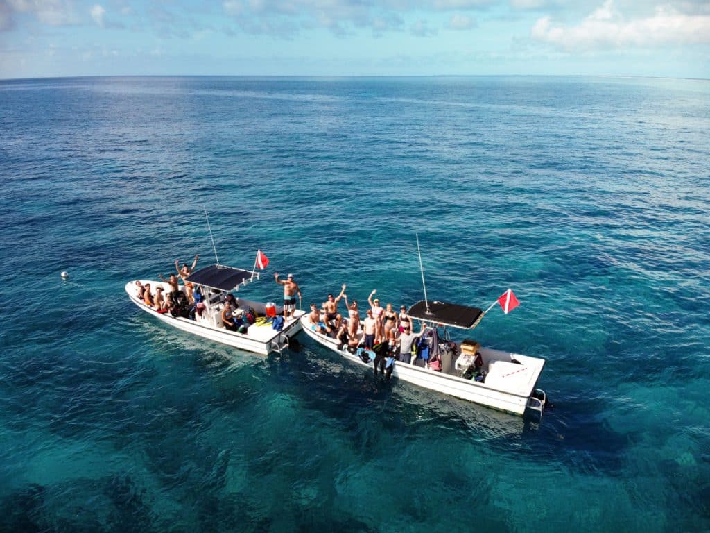 The Bahamas Coral Innovation Hub - Perry Institute for Marine Science