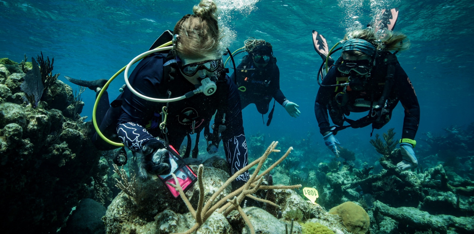 Crystal clear Bahamas reef