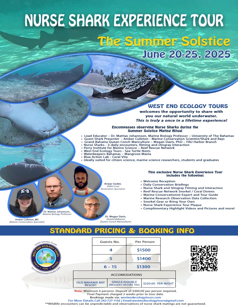 2025 Nurse Shark Experience Flyer