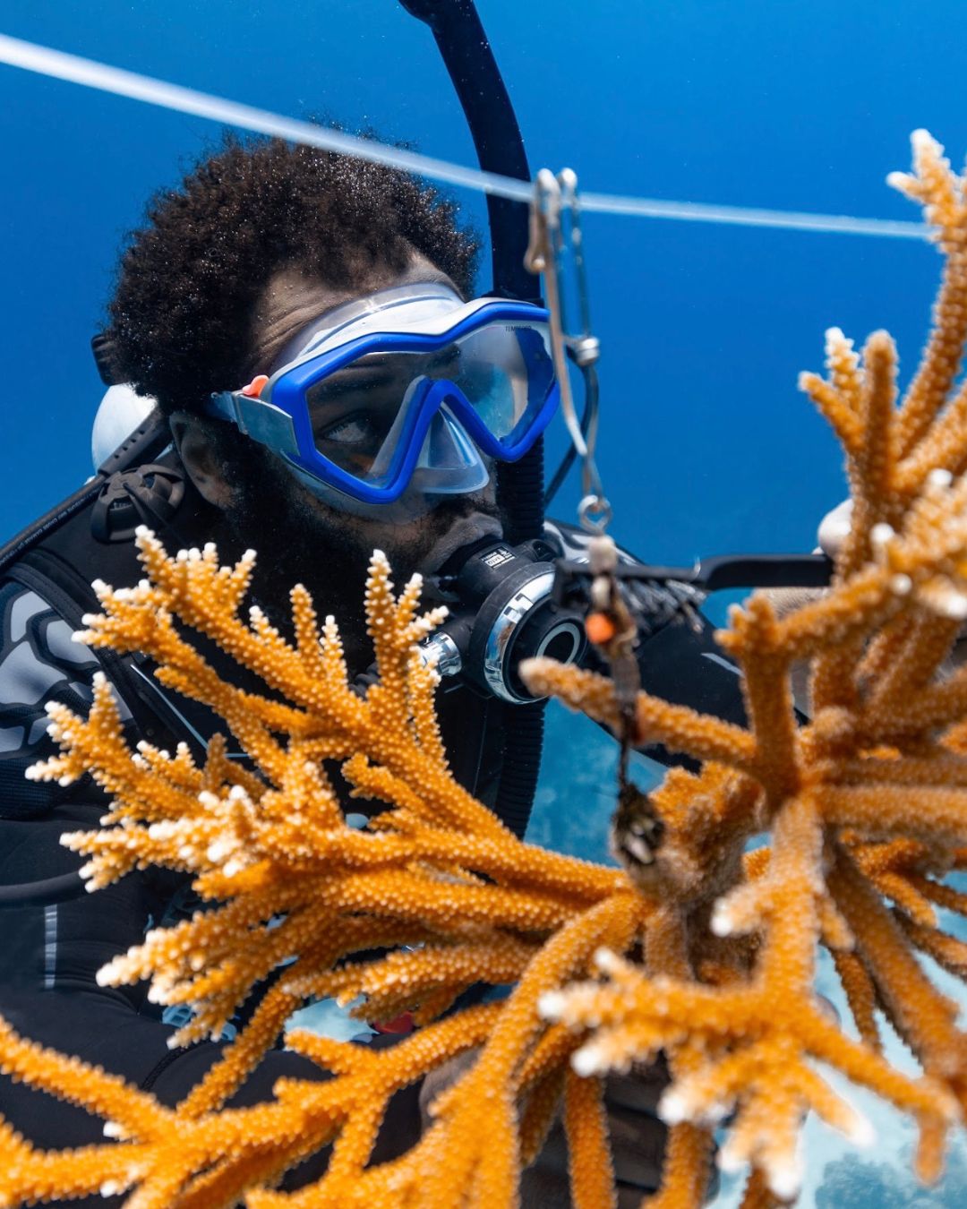 Diver working on coral nursery underwater