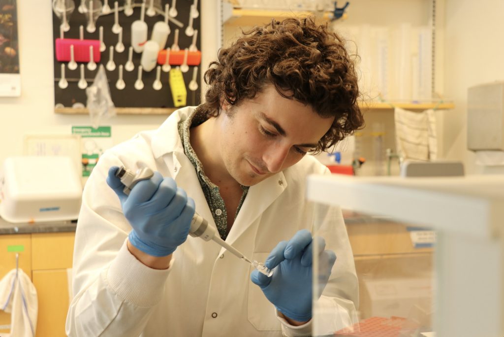 Lead author, Shane Farell, examines algae samples in the lab. Farrell spent several multiple months on a research visit with co-author Daniel Petras’s former lab at the University of Tübingen to learn the methods for non-targeted metabolomics analysis (Credit: Bigelow Laboratory for Ocean Sciences).