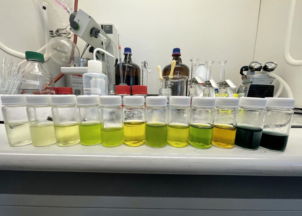 Twenty milliliter vials reflect the internal chemistry of different types of brown, green, and red seaweed tissue after being freeze dried and ground up into powder for analysis (Credit: Shane Farrell).