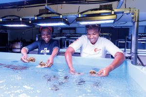 Hope in their hands: Two coral researchers at the Bahamas Coral Gene Bank share a moment of joy after placing healthy coral colonies into their new biosecure home—an act that could help restore entire reef systems. Photo: Atlantis Paradise Island