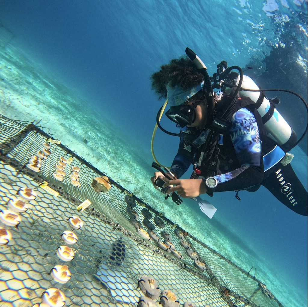 Taylor photographs coral microfragments in the ocean nursery, helping monitor their fusion into healthy, resilient colonies