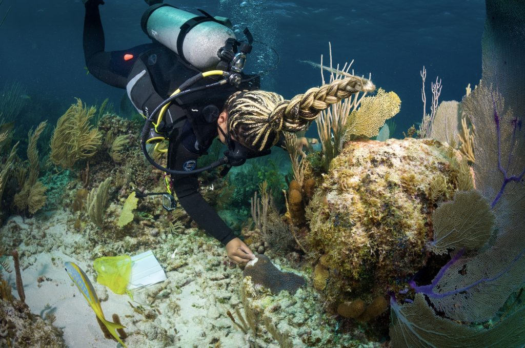 From intern to coral team lead, Meghyn now mentors others while leading restoration work across The Bahamas