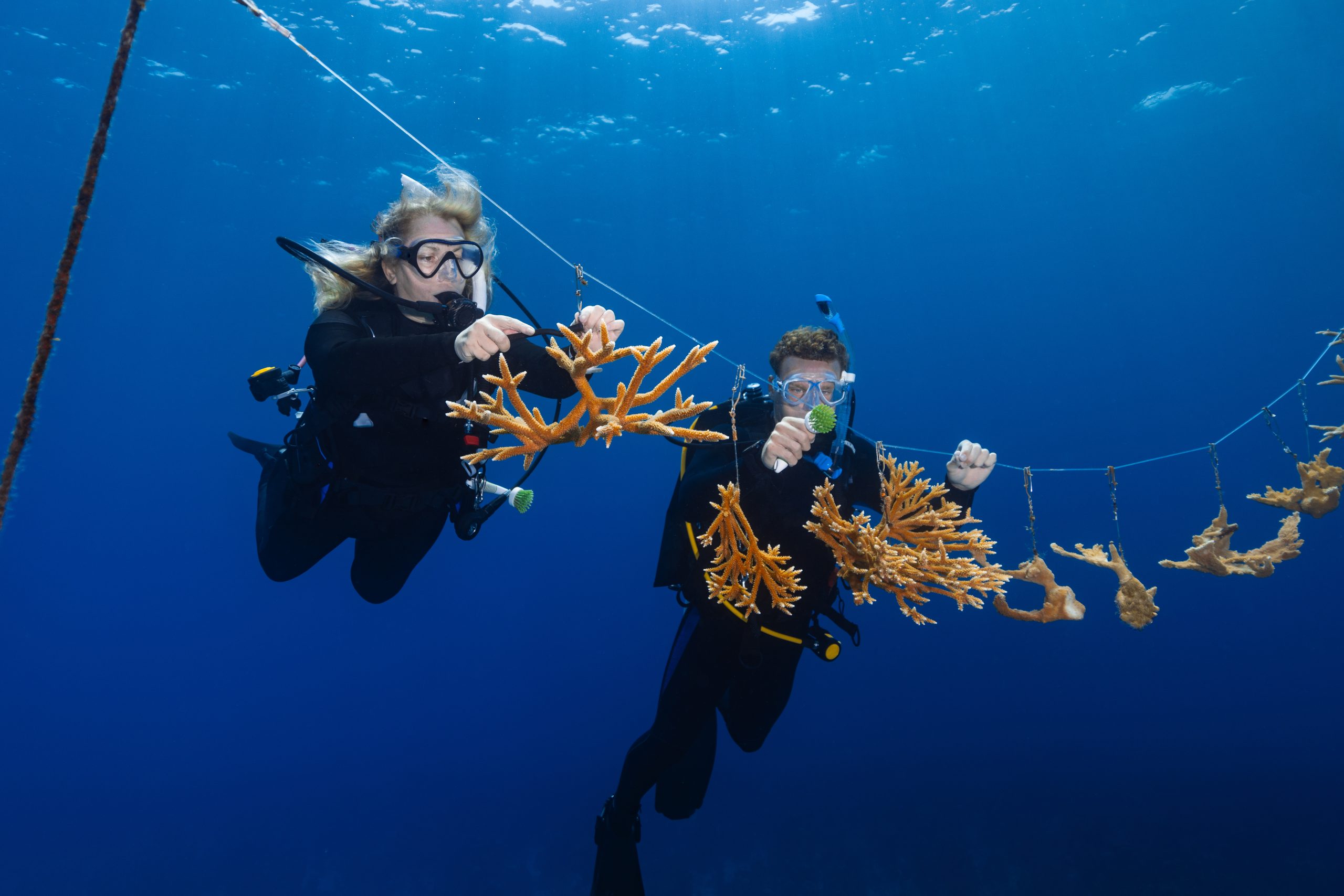 Stream2Sea Coral Care sunscreen with coral reef background