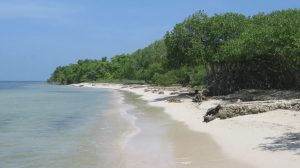Beach view of Colombia’s Islas del Rosario, part of the Caribbean region where coral reef restoration and marine biodiversity conservation efforts are underway.