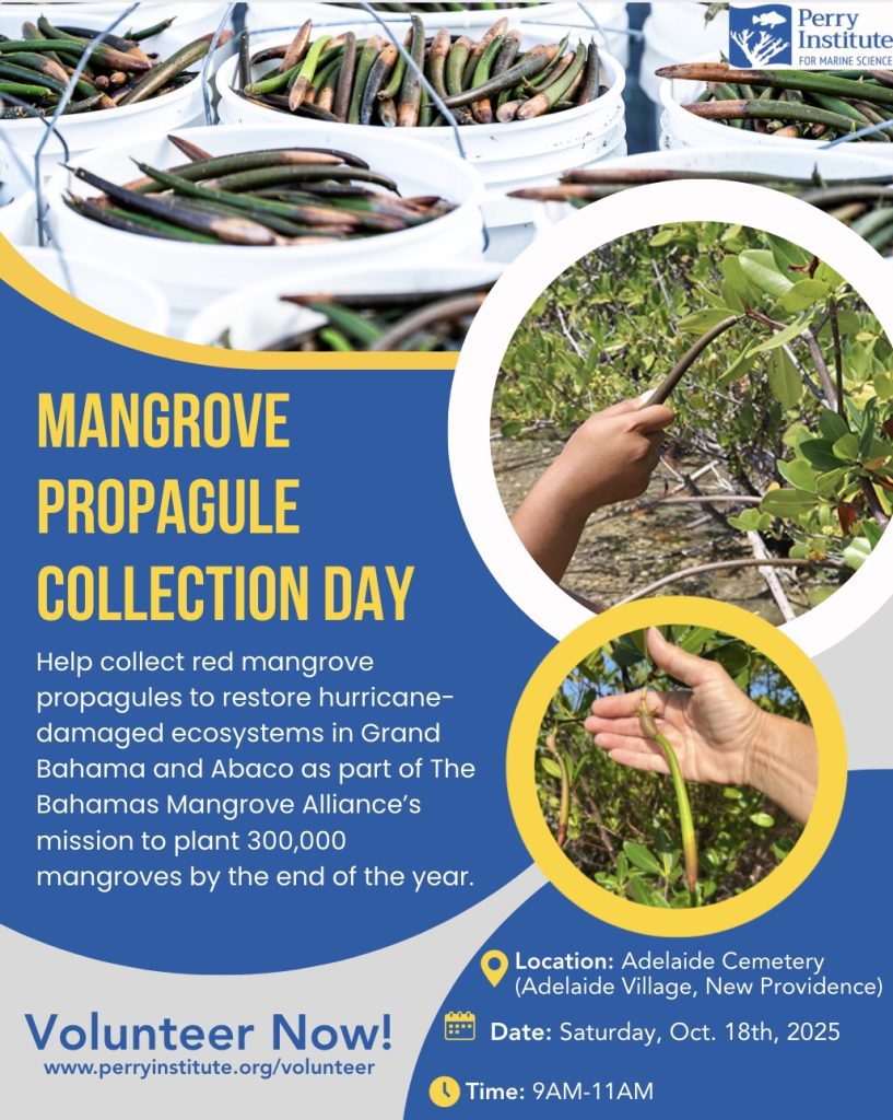 Volunteer event flyer for Mangrove Propagule Collection Day in Adelaide Village on October 18, 2025, 9–11 AM, hosted by the Perry Institute for Marine Science with the Bahamas Mangrove Alliance. Call to action: Volunteer Today.”