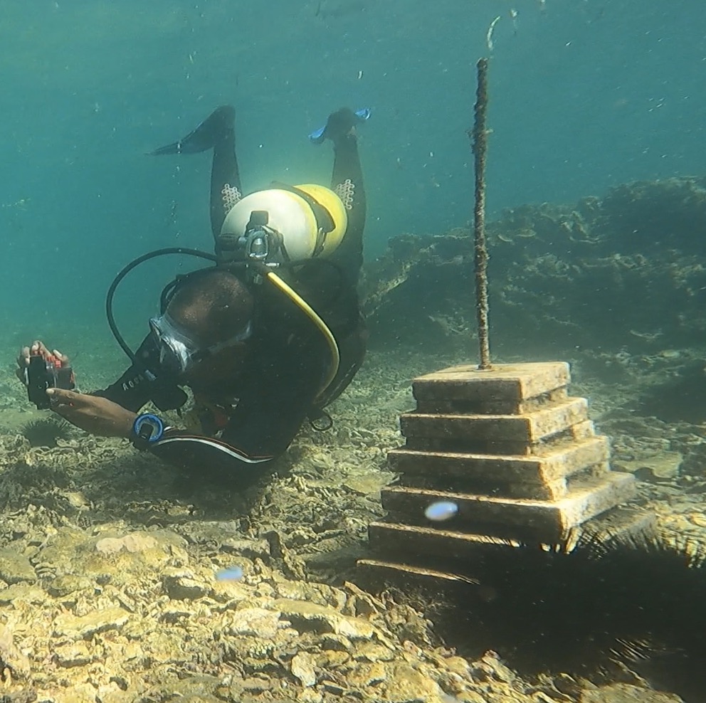 Autonomous Reef Monitoring Structures (ARMS) collecting reef life on a healthy reef—coral reef restoration Madagascar.