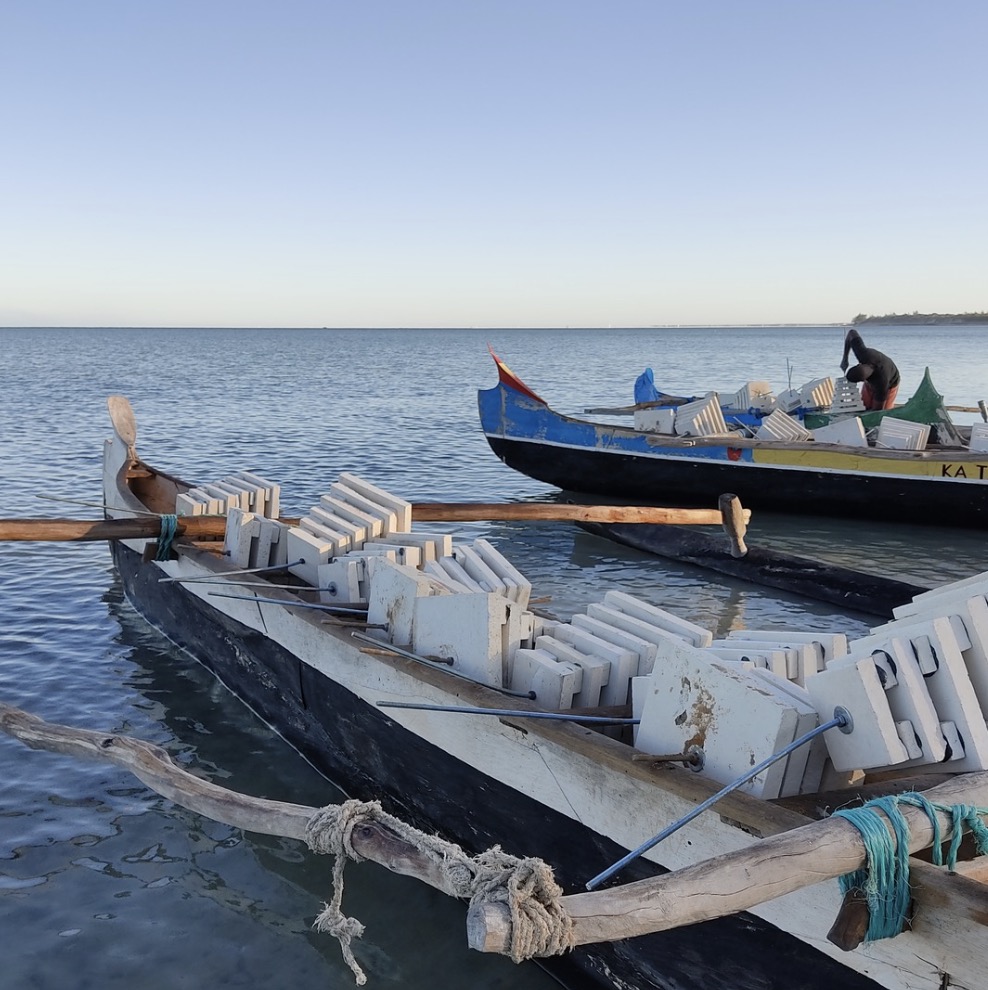 Divers relocating colonized ARMS onto hand-built limestone spurs to seed new habitat—coral reef restoration Madagascar.