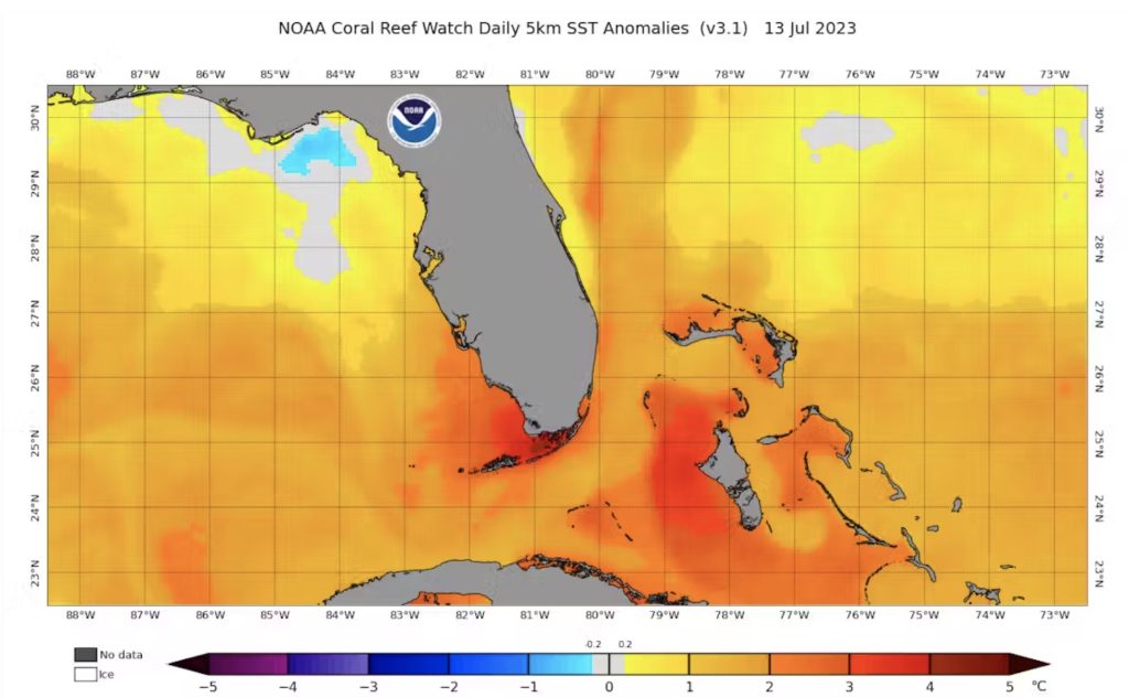 A sea-surface temperature map from mid-July 2023 shows the extraordinary heat around the Florida Keys. NOAA Coral Reef Watch