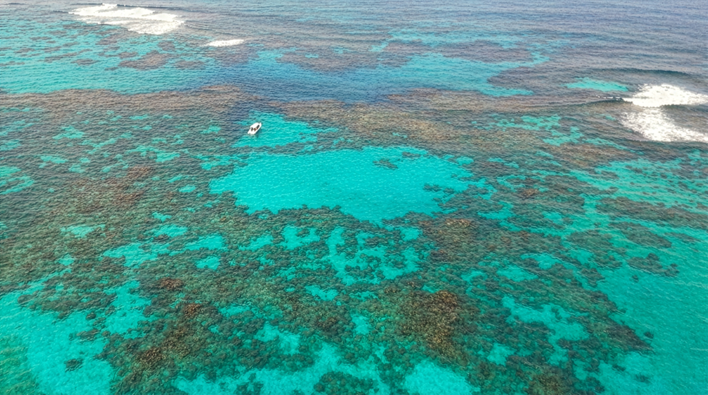 Aerial view of Brendal's coral nursery at Green Turtle Cay, Bahamas, showing underwater coral tree structures in turquoise water