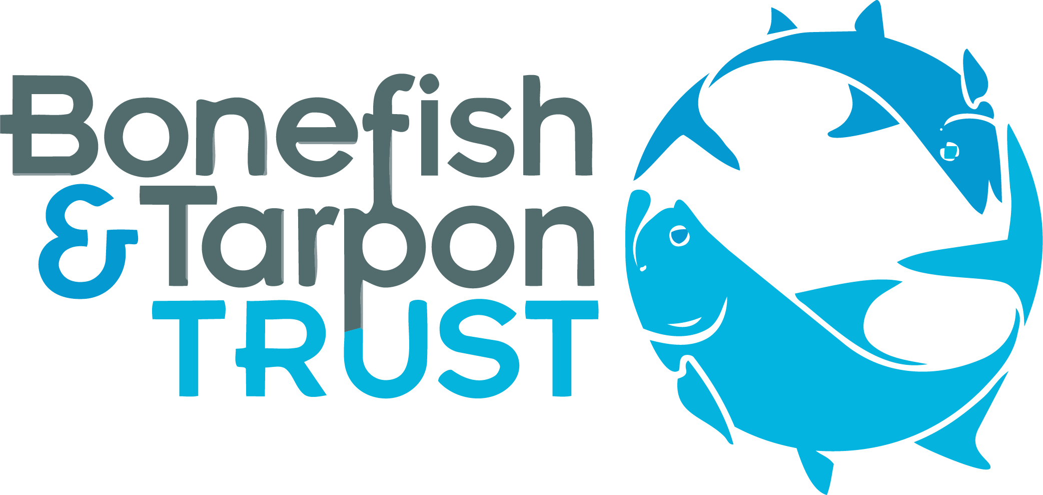 Atlantis Blue Project Foundation