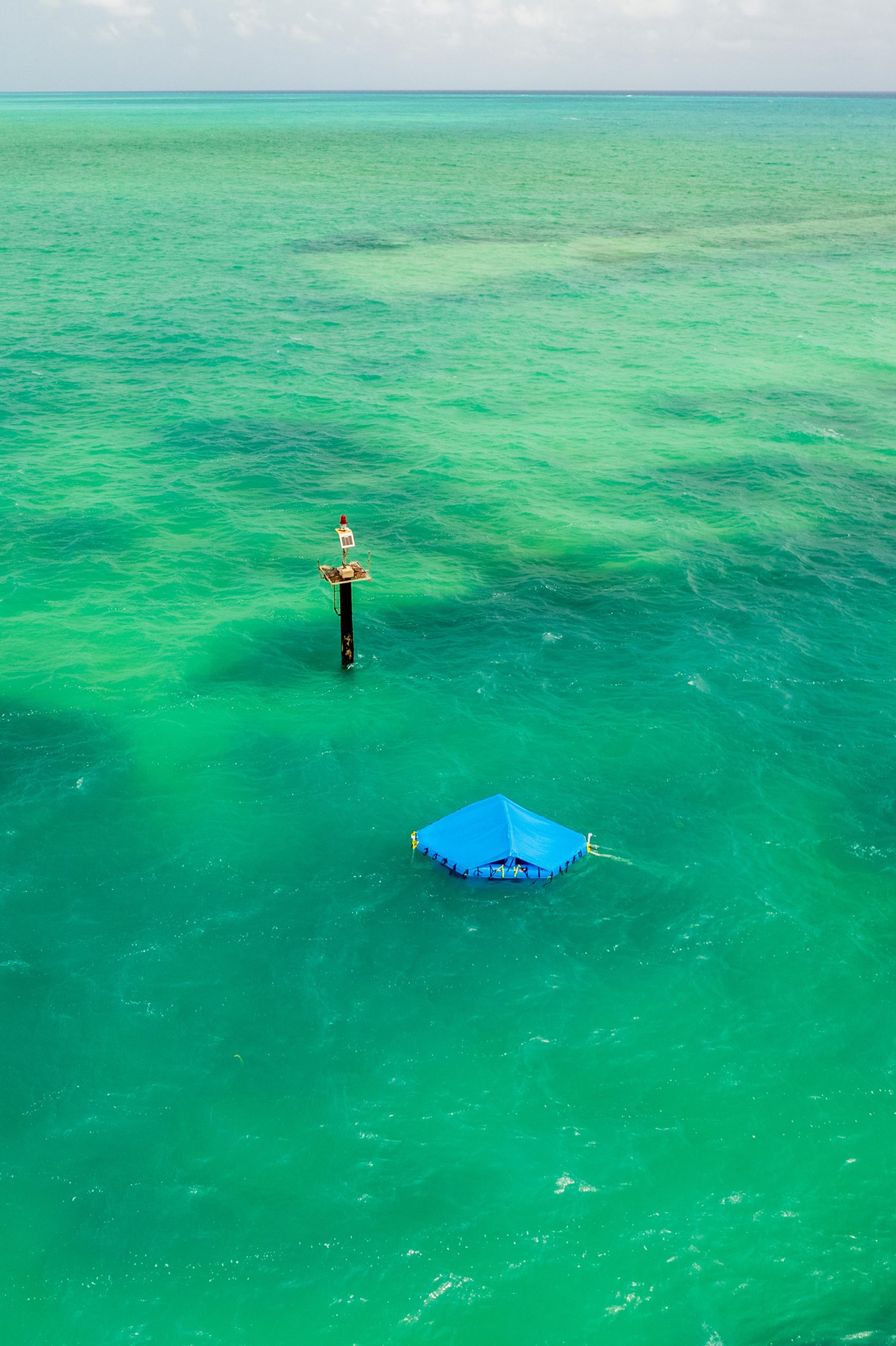 Floating coral larval settlement pool near South Andros