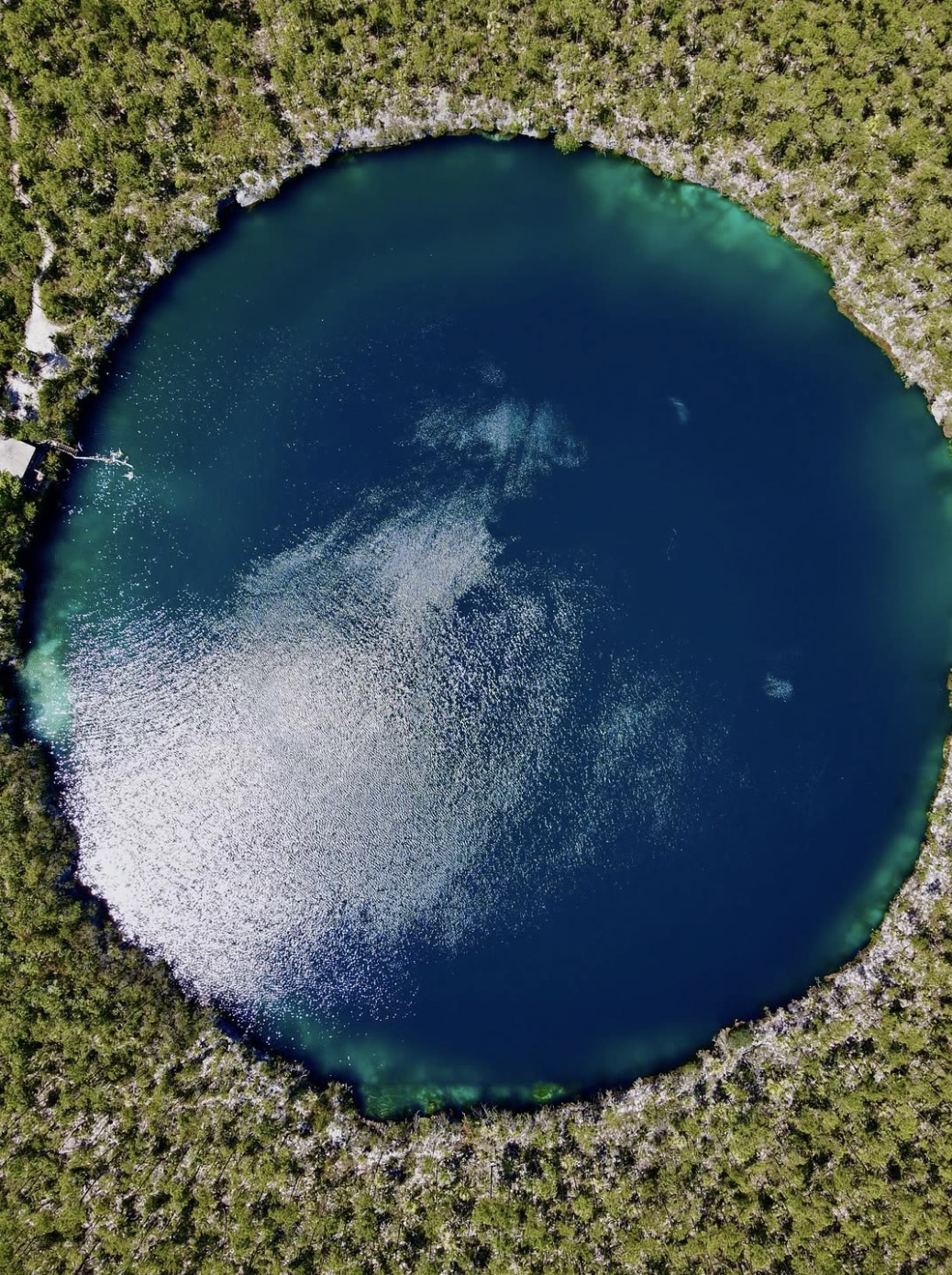Underwater coral work during Small Hope Bay expedition