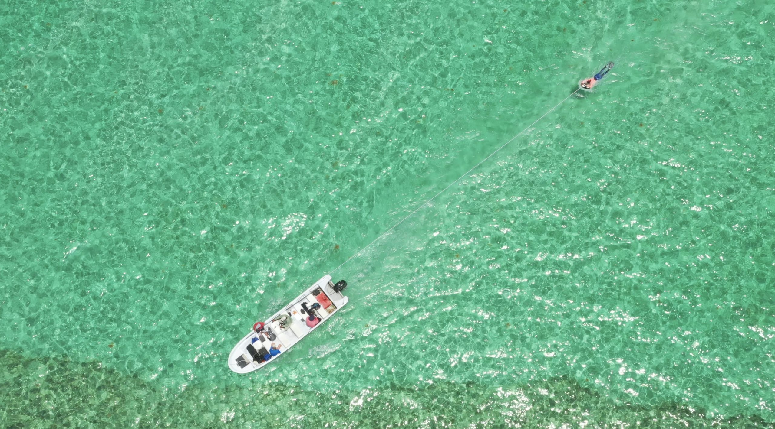 Aerial view of Dr. Krista Sherman conducting a conch tow survey in The Bahamas