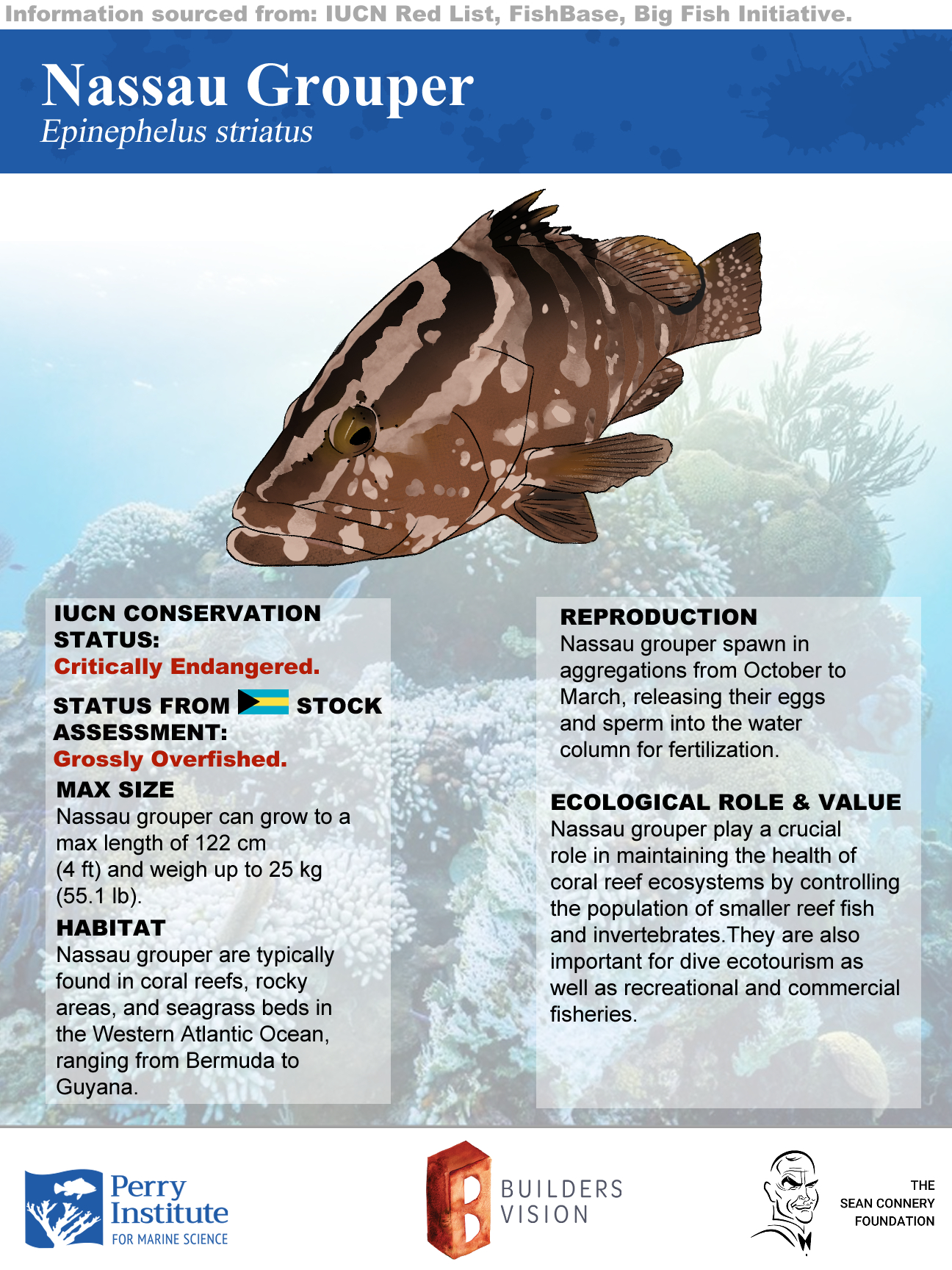Nassau grouper species fact sheet — PIMS Bahamian fisheries assessment